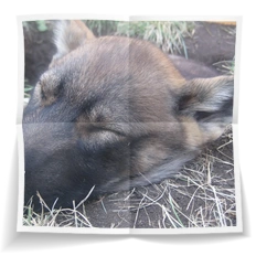 Frank Miesbauer Reisecoaching | ALASKA