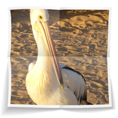 Frank Miesbauer Reisecoaching | AUSTRALIEN