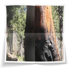 Frank Miesbauer Reisecoaching | USA