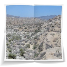 Frank Miesbauer Reisecoaching | USA